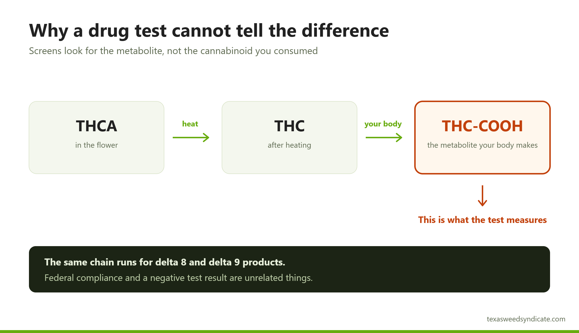 Diagram showing THCA converting to THC when heated and then to the THC-COOH metabolite that a drug test measures