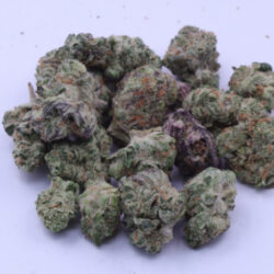 Snow Cone Sativa Dominant B buds Flower